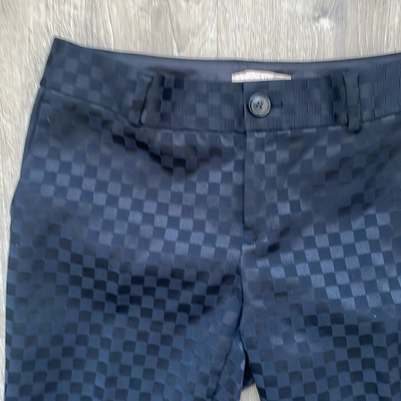 Banana republic Hampton Pant size 2 - Picture 4 of 5